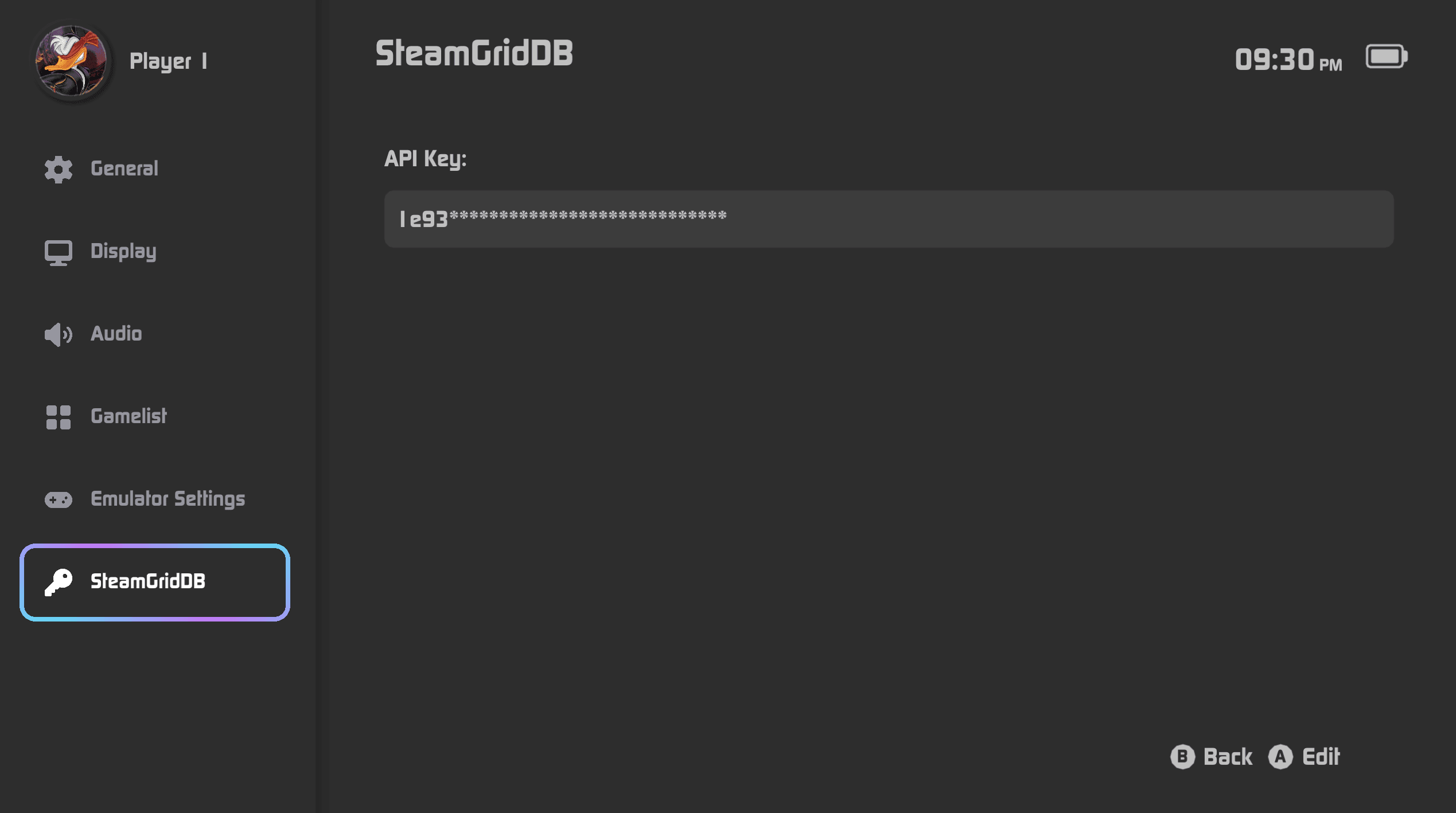 Tico SteamGridDB API Key Settings